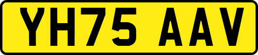 YH75AAV