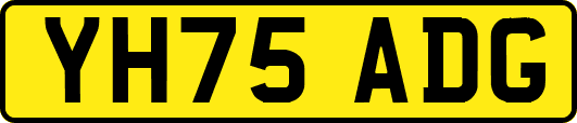 YH75ADG