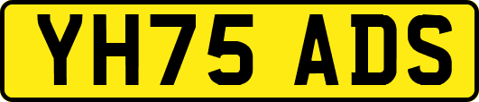 YH75ADS