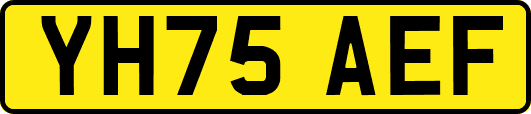 YH75AEF
