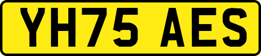 YH75AES