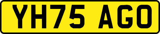 YH75AGO
