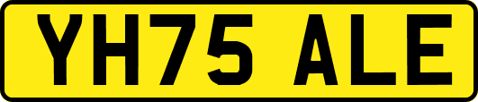 YH75ALE