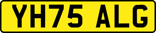 YH75ALG