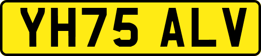 YH75ALV