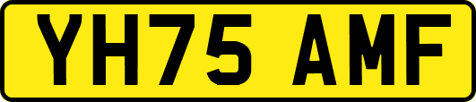 YH75AMF