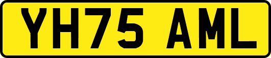 YH75AML