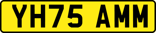 YH75AMM