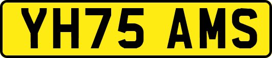 YH75AMS
