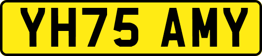 YH75AMY