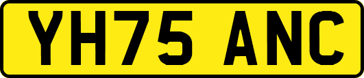 YH75ANC
