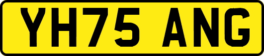 YH75ANG