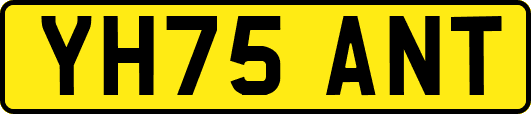 YH75ANT