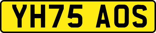 YH75AOS