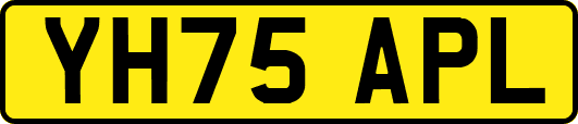 YH75APL