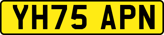 YH75APN