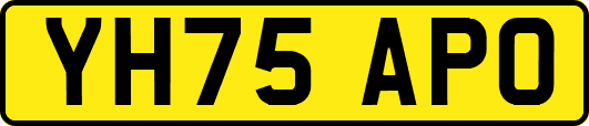 YH75APO