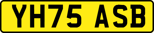 YH75ASB