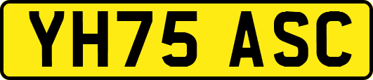 YH75ASC