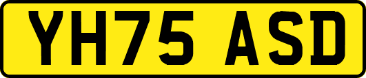 YH75ASD