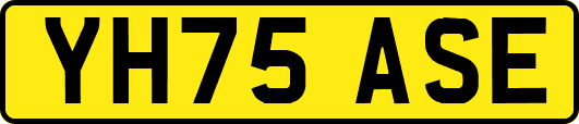 YH75ASE