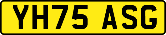 YH75ASG