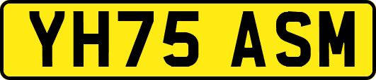 YH75ASM