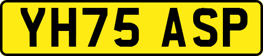 YH75ASP