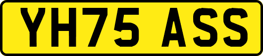 YH75ASS