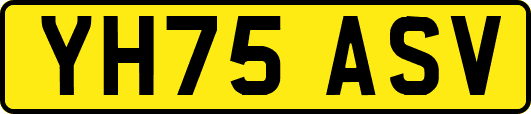 YH75ASV