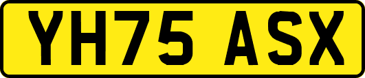 YH75ASX