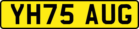 YH75AUG