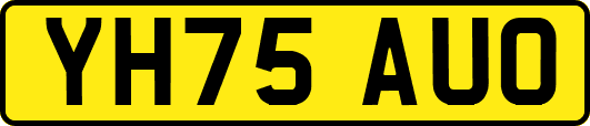 YH75AUO