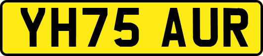 YH75AUR