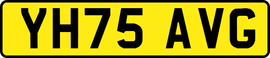 YH75AVG