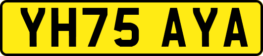 YH75AYA