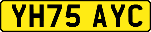 YH75AYC