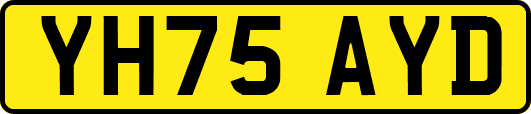 YH75AYD