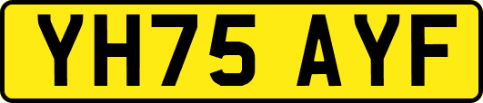 YH75AYF