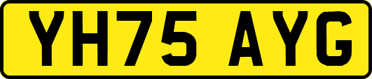 YH75AYG