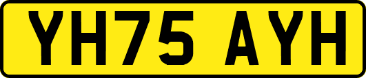 YH75AYH