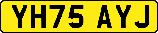YH75AYJ