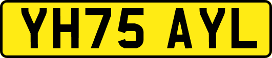 YH75AYL
