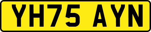 YH75AYN