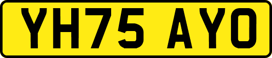 YH75AYO