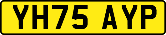 YH75AYP