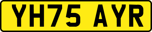 YH75AYR