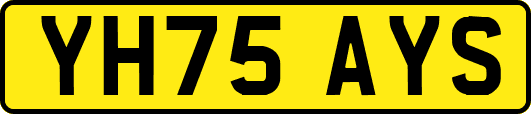 YH75AYS