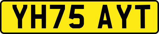 YH75AYT