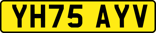YH75AYV